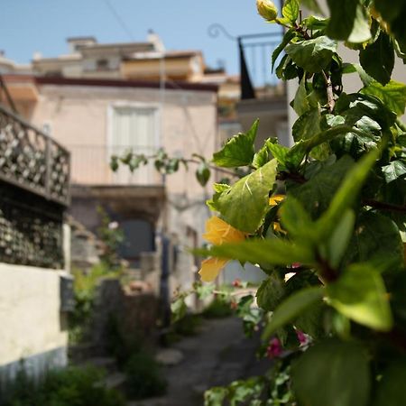 Nick & Santo'S Holiday Homes B&B Джардини-Наксос Экстерьер фото